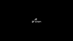 Logo STEFI