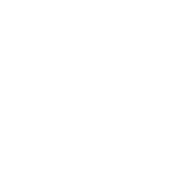 Logo The Big  C. Foundation