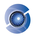 Logo Paradigm Shift