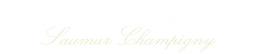 Logo SAS DOMAINE VINICOLE DE CHAINTRES