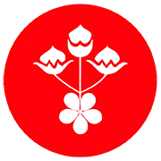 Logo VAN GUYSE & CO