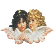Logo FIORUCCI