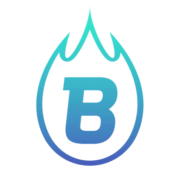 Logo BRANDALL