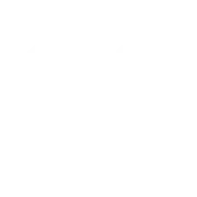 Logo NINA GROUP