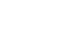 Logo WILD BOYS