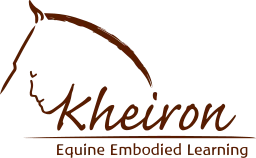 Logo KHEIRON