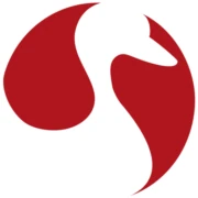 Logo LEE CHI KO