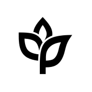 Logo ANKORSTORE SAS