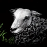 Logo BURO MDR