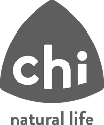 Logo FISCALE EENHEID HOLDING CHI INTERNATIONAL BV
