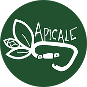 Logo APICALE