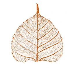 Logo inspiHre