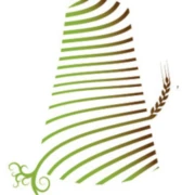 Logo STILL CONSULTING