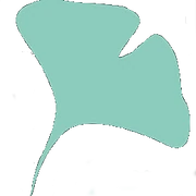 Logo GINKGO CONSULTING