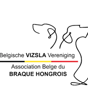 Logo Belgische Vizsla Vereniging