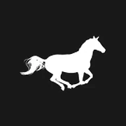 Logo CERCLE EQUESTRE DE LA CHEVALERIE