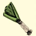 Logo GROENTENHOF