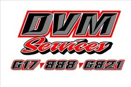 Logo DVM SERVICES
