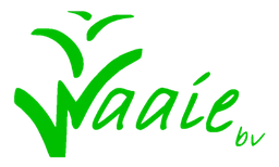 Logo WAAIE