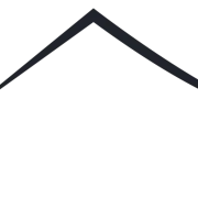 Logo DAKWERKEN VETS