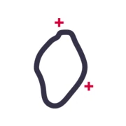 Logo Dokter Regine Vantieghem