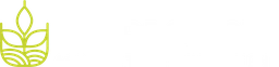 Logo TOM PROJECTS