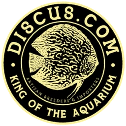 Logo DISCUS