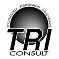 Logo TRICONSULT