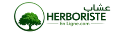 Logo SBELGIUM