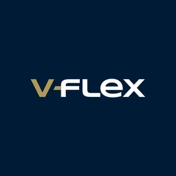 Logo V-Flex