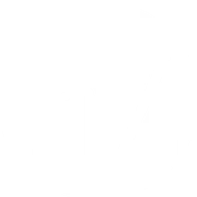 Logo BOYZ
