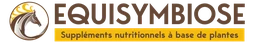 Logo SYMBIOSES DEVELOPPEMENT