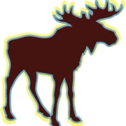 Logo Magnetic Moose