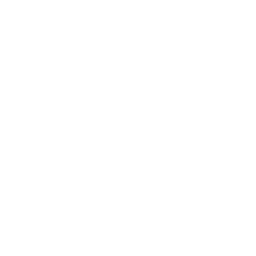 Logo Nebi