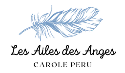 Logo LES AILES DES ANGES
