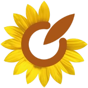 Logo ENSOM