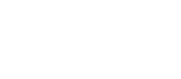 Logo BLUE STONE PARTNERS