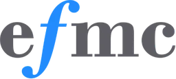 Logo EF MANAGEMENT & CONSULTING