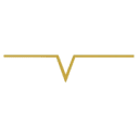 Logo NP Events