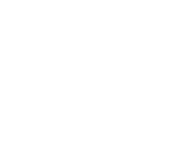 Logo HOSTILE