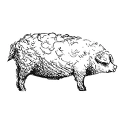 Logo Delonit