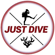 Logo Just Dive