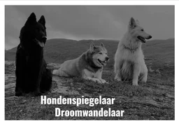Logo Lichtwolven
