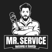 Logo MISTER SERVICE