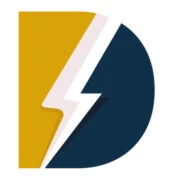 Logo DS Management & Services