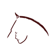 Logo KHEIRON INVEST