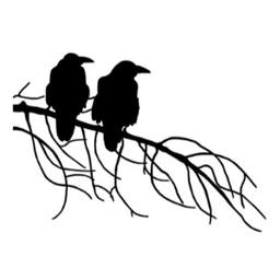 Logo Raven Architectuur
