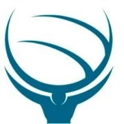 Logo BRH CONSEIL