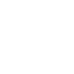 Logo LISAN