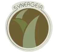 Logo SYNERGEIA